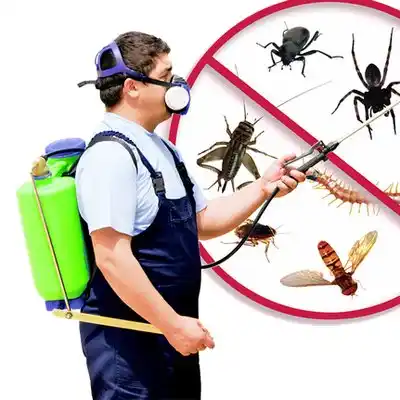 pest control Greenwood Lake